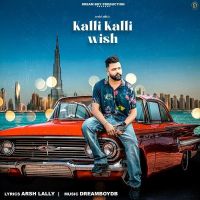 Kalli Kalli Wish Arsh Lally mp3 song ringtone, Kalli Kalli Wish Arsh Lally Ringtone Download - DjPunjab.Com.Mx