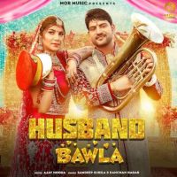 Husband Bawla Sandeep Surila mp3 song ringtone, Husband Bawla Sandeep Surila Ringtone Download - DjPunjab.Com.Mx