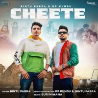 Cheete Bintu Pabra mp3 song ringtone, Cheete Bintu Pabra Ringtone Download - DjPunjab.Com.Mx
