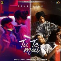 Tu Te Mai Zehr Vibe mp3 song ringtone, Tu Te Mai Zehr Vibe Ringtone Download - DjPunjab.Com.Mx