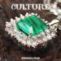 Culture Gursehaj, Xaan mp3 song ringtone, Culture Gursehaj, Xaan Ringtone Download - DjPunjab.Com.Mx