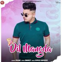 Dil Mangda Falak mp3 song ringtone, Dil Mangda Falak Ringtone Download - DjPunjab.Com.Mx
