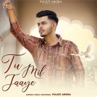 Tu Mil Jaaye Pulkit Arora mp3 song ringtone, Tu Mil Jaaye Pulkit Arora Ringtone Download - DjPunjab.Com.Mx