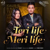 Teri Life Meri Life R Nait, Kaur B mp3 song ringtone, Teri Life Meri Life R Nait, Kaur B Ringtone Download - DjPunjab.Com.Mx