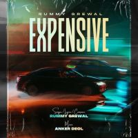 Expensive Rummy Grewal mp3 song ringtone, Expensive Rummy Grewal Ringtone Download - DjPunjab.Com.Mx