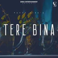 Tere Bina Pavvy Virk mp3 song ringtone, Tere Bina Pavvy Virk Ringtone Download - DjPunjab.Com.Mx