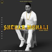 Shehar Mohali Garry Bawa mp3 song ringtone, Shehar Mohali Garry Bawa Ringtone Download - DjPunjab.Com.Mx