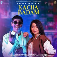 Kacha Badam Bhuban Badyakar, Amit Dhull mp3 song ringtone, Kacha Badam Bhuban Badyakar, Amit Dhull Ringtone Download - DjPunjab.Com.Mx