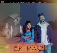 Teri Marji Gurinder Punni mp3 song ringtone, Teri Marji Gurinder Punni Ringtone Download - DjPunjab.Com.Mx