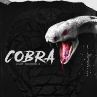 Cobra Jaura Phagwara mp3 song ringtone, Cobra Jaura Phagwara Ringtone Download - DjPunjab.Com.Mx