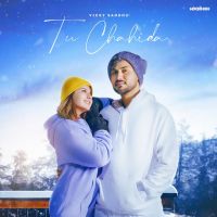 Tu Chahida Vicky Sandhu mp3 song ringtone, Tu Chahida Vicky Sandhu Ringtone Download - DjPunjab.Com.Mx