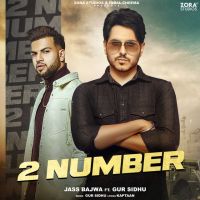 2 Number Jass Bajwa mp3 song ringtone, 2 Number Jass Bajwa Ringtone Download - DjPunjab.Com.Mx