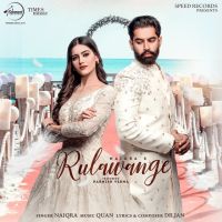 Rulawange Naiqra mp3 song ringtone, Rulawange Naiqra Ringtone Download - DjPunjab.Com.Mx