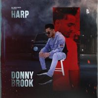 Donnybrook Harp mp3 song ringtone, Donnybrook Harp Ringtone Download - DjPunjab.Com.Mx