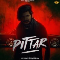 Pittar Gulzaar Chhaniwala mp3 song ringtone, Pittar Gulzaar Chhaniwala Ringtone Download - DjPunjab.Com.Mx