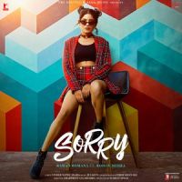 Sorry Raman Romana mp3 song ringtone, Sorry Raman Romana Ringtone Download - DjPunjab.Com.Mx