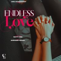 Endless Love Pavvy Virk mp3 song ringtone, Endless Love Pavvy Virk Ringtone Download - DjPunjab.Com.Mx
