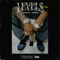 Levels Sidhu Moose Wala mp3 song ringtone, Levels Sidhu Moose Wala Ringtone Download - DjPunjab.Com.Mx