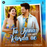 Tu Jinna Karda Ae Sajjan Adeeb mp3 song ringtone, Tu Jinna Karda Ae Sajjan Adeeb Ringtone Download - DjPunjab.Com.Mx