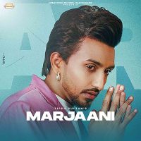 Marjaani Tippu Sultan mp3 song ringtone, Marjaani Tippu Sultan Ringtone Download - DjPunjab.Com.Mx