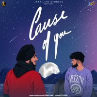 Cause Of You Zehr Vibe mp3 song ringtone, Cause Of You Zehr Vibe Ringtone Download - DjPunjab.Com.Mx