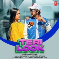Teri Look MD Desi Rockstar mp3 song ringtone, Teri Look MD Desi Rockstar Ringtone Download - DjPunjab.Com.Mx
