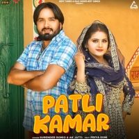 Patli Kamar Surender Romio, Ak Jatti mp3 song ringtone, Patli Kamar Surender Romio, Ak Jatti Ringtone Download - DjPunjab.Com.Mx