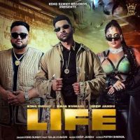 Life King Sunny mp3 song ringtone, Life King Sunny Ringtone Download - DjPunjab.Com.Mx