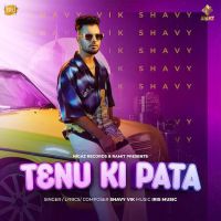 Tenu Ki Pata Shavy Vik mp3 song ringtone, Tenu Ki Pata Shavy Vik Ringtone Download - DjPunjab.Com.Mx