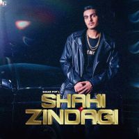 Shahi Zindagi Sagar Pop mp3 song ringtone, Shahi Zindagi Sagar Pop Ringtone Download - DjPunjab.Com.Mx