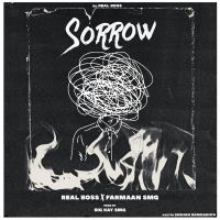 Sorrow Real Boss mp3 song ringtone, Sorrow Real Boss Ringtone Download - DjPunjab.Com.Mx
