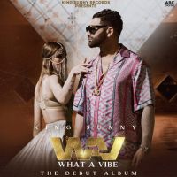 Phullan Wargi King Sunny mp3 song ringtone, WAV (What A Vibe) King Sunny Ringtone Download - DjPunjab.Com.Mx