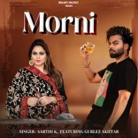 Morni Sarthi K mp3 song ringtone, Morni Sarthi K Ringtone Download - DjPunjab.Com.Mx