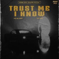 Trust Me I Know Big Boi Deep, Byg Byrd mp3 song ringtone, Trust Me I Know Big Boi Deep, Byg Byrd Ringtone Download - DjPunjab.Com.Mx