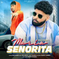 Maria Senorita Rajveer mp3 song ringtone, Maria Senorita Rajveer Ringtone Download - DjPunjab.Com.Mx