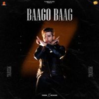 Baago Baag Tarsem mp3 song ringtone, Baago Baag Tarsem Ringtone Download - DjPunjab.Com.Mx