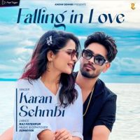 Falling In Love Karan Sehmbi mp3 song ringtone, Falling In Love Karan Sehmbi Ringtone Download - DjPunjab.Com.Mx
