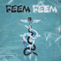Feem Feem Sardar Khehra mp3 song ringtone, Feem Feem Sardar Khehra Ringtone Download - DjPunjab.Com.Mx