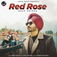 Red Rose Deep Prince mp3 song ringtone, Red Rose Deep Prince Ringtone Download - DjPunjab.Com.Mx