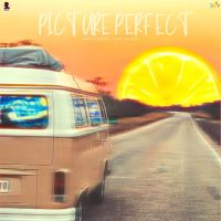 Picture Perfect Navaan Sandhu mp3 song ringtone, Picture Perfect Navaan Sandhu Ringtone Download - DjPunjab.Com.Mx