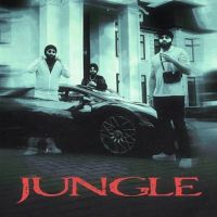 Jungle Inderpal Moga, Chani Nattan mp3 song ringtone, Jungle Inderpal Moga, Chani Nattan Ringtone Download - DjPunjab.Com.Mx