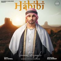 Habibi Bannet Dosanjh mp3 song ringtone, Habibi Bannet Dosanjh Ringtone Download - DjPunjab.Com.Mx