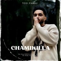 Chamikilla Tegi Pannu mp3 song ringtone, Chamikilla Tegi Pannu Ringtone Download - DjPunjab.Com.Mx