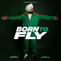 Born To Fly Sukshinder Shinda mp3 song ringtone, Born To Fly Sukshinder Shinda Ringtone Download - DjPunjab.Com.Mx