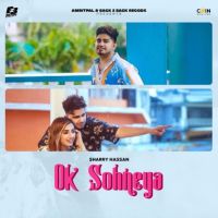 Ok Sohneya Sharry Hassan mp3 song ringtone, Ok Sohneya Sharry Hassan Ringtone Download - DjPunjab.Com.Mx