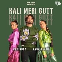 Kali Meri Gutt Parindey, Aasa Singh mp3 song ringtone, Kali Meri Gutt Parindey, Aasa Singh Ringtone Download - DjPunjab.Com.Mx