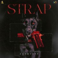 STRAP Zehr Vibe mp3 song ringtone, STRAP Zehr Vibe Ringtone Download - DjPunjab.Com.Mx