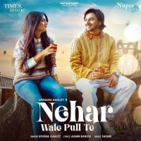Nehar Wale Pull Te Upasna Gahlot mp3 song ringtone, Nehar Wale Pull Te Upasna Gahlot Ringtone Download - DjPunjab.Com.Mx