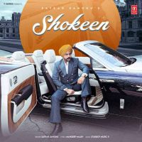 Shokeen Satkar Sandhu mp3 song ringtone, Shokeen Satkar Sandhu Ringtone Download - DjPunjab.Com.Mx