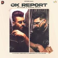 Ok Report DJ Flow mp3 song ringtone, Ok Report DJ Flow Ringtone Download - DjPunjab.Com.Mx